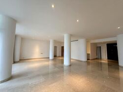 The Colonnade (D10), Condominium #533613741